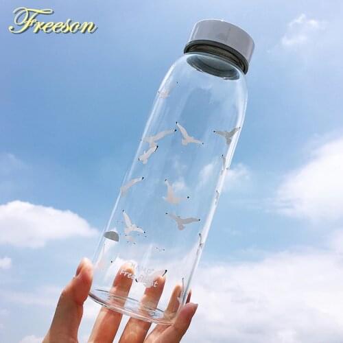 Freeson Water Filter Bottles