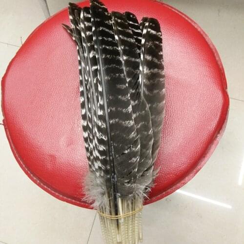 Hot sales! wholesale 100pcs/lot beautiful 10-12inches / 25-30cm natural wild turkey tail feathers crafts decoration