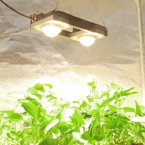 CREE CXB3590 COB LED Grow Light Full Spectrum 200W 3500K 85-265V Plant Grow Lamp For Indoor Plants Flowers Hydroponics Grow Tent