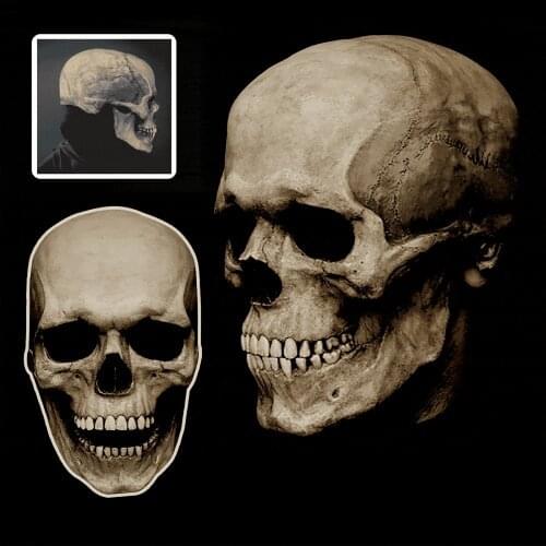 Full Head Skull Mask Halloween Horror Helmet Movable Jaw Decoration Scary Props Horror Costume Movable Jaw Decoration Headgear