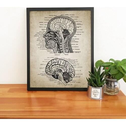 Vintage Human Head And Brain Anatomy Canvas Art Prints Poster Neuroscience Human Anatomy Painting Doctors Office Wall Art Decor