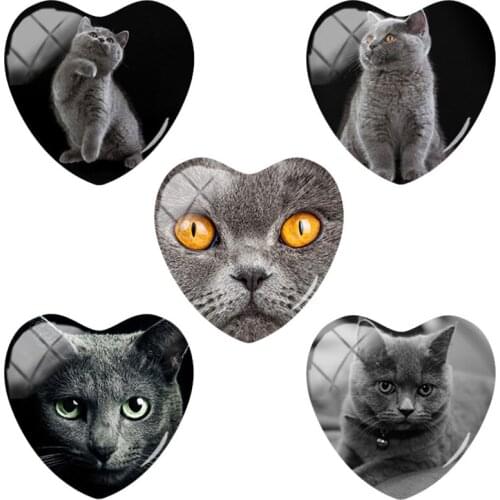 TAFREE Vintage British Shorthair From England Flat Back 25mm Glass Dome Heart Shaped Jewelry Accessories Findings CA347