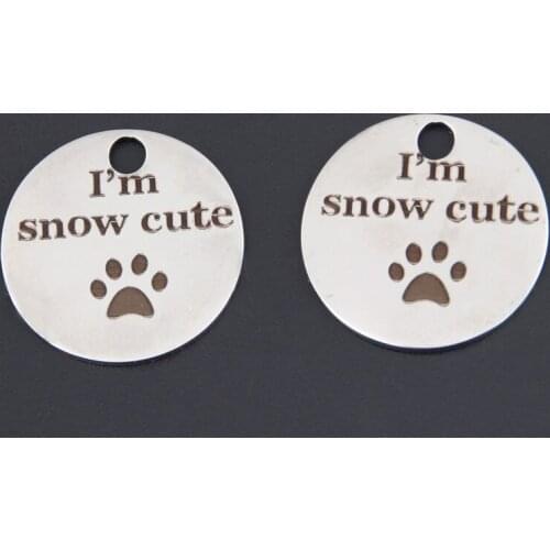 10pcs Silver Color 20mm Stainless Steel Round Cat Paw Prints Charms I'm Snow Cute Word Pendant Fit DIY Handmade Jewelry Supplies