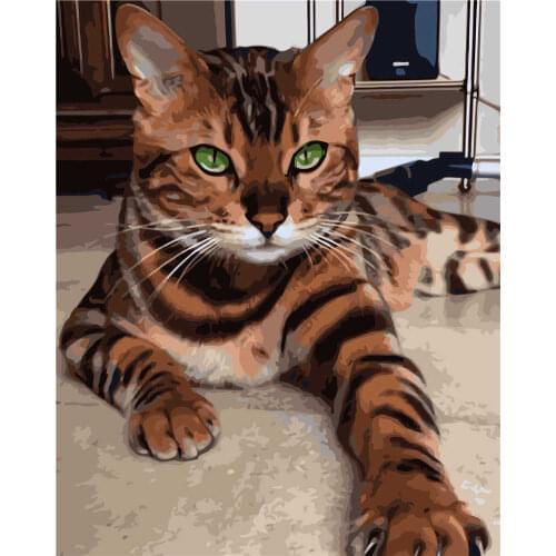 Big Cat Animal Child Cartoon DIY Digital Painting By Numbers Modern Wall Art Canvas Painting Unique Gift Home Decor 40x50cm