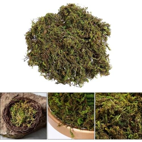 1 Bag Simulation Dry Moss Lawn Decor Dressing for Fairy Gardens Terrariums Arts Crafts Floral Project Centerpieces