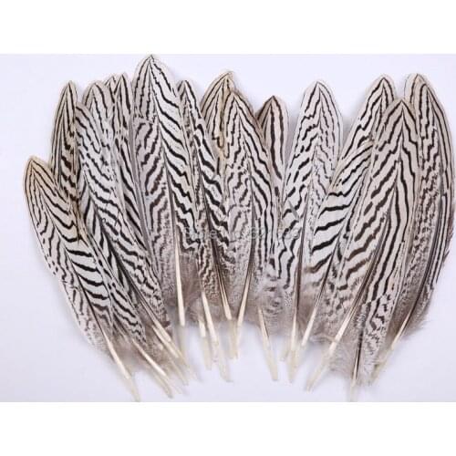 100Pcs/lot!6-8inches 15-20cm Silver Pheasant Wedding Quill white black Feathers for elegant festivity