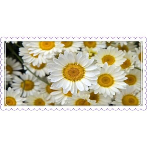 3D Daisy 50x100cm Diy Diamond Embroidery Diamond Square Drill Rhinestone Pasted Crafts Needlework Home Decoration