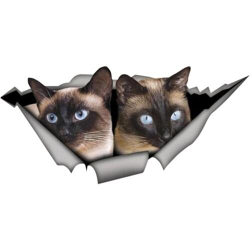 Interesting Car Sticker Accessories Decal Siamese Cats Wild Animal Car Window Waterproof PVC Cover Scratches Waterproof