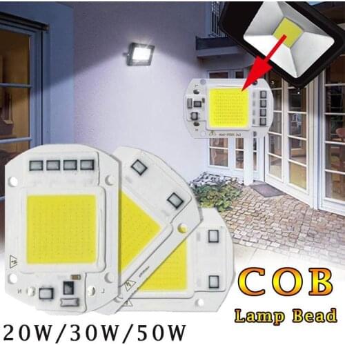 LED Chip 20W 30W 50W COB Chip LED Lamp AC 220V High Power Smart No Need Driver DIY Flood light IP65 Outdoor Led Bulb Spotlight
