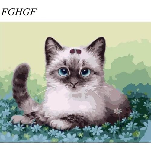 FGHGF Frameless picture on wall acrylic painting by numbers abstract drawing by numbers coloring by numbers cats 40cmx5CM