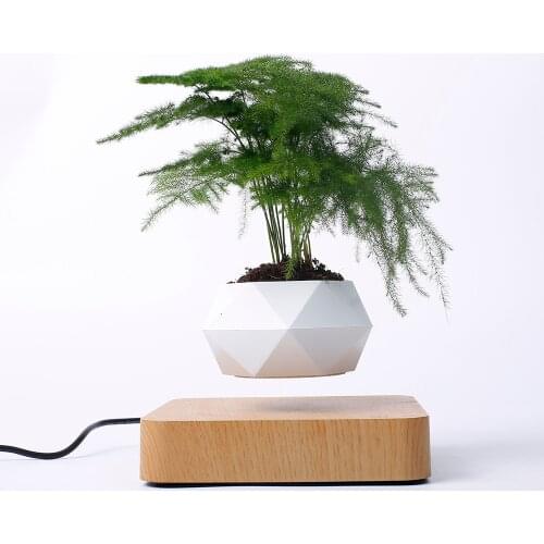 ONE ECONOMICS Plant Pots