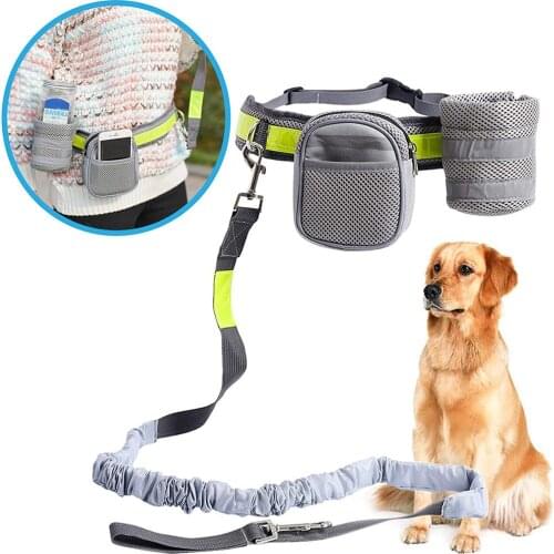 Dog Leash Includes Belt Bag/Case Boat Holder Excellent for Training Running Jogging with your Pet Free-Walk Handsfree Dog Leash