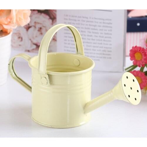 Tin Watering Can Plant Spray Sprinkled Portable Gardening Tools Wrought Iron With Handle Metal Shower