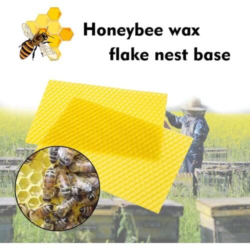 Deep House Nest Honey Nest Base Bee Practical and Durable Simplicity Major Special Beeswax Tablets Piece Nest Base 13x9CM