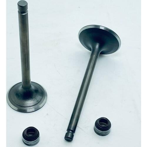 INTAKE & EXHAUST VALVE AND OIL SEAL SET KIT FIT YAMAHA SR250 TT250 XT250 BW350