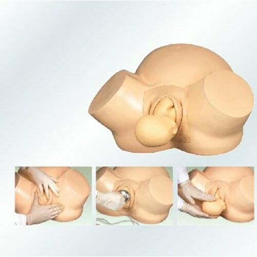 Medical Teaching Series Child Birth & Fetus Midwifery Training Simulator