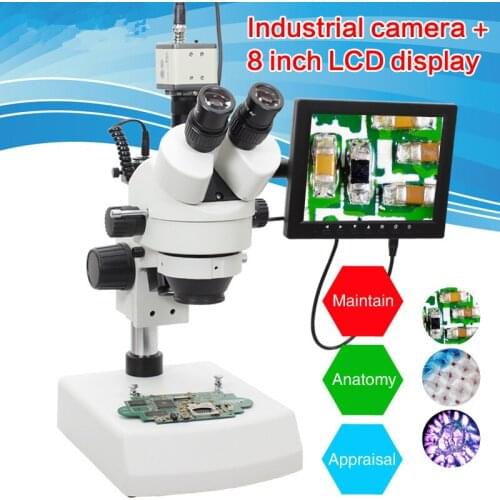 BELONA Brand Professional 7X~45X/7X-90X Trinocular Stereo Zoom Vertical Zoom Microscope +8 inch industrial display + camera