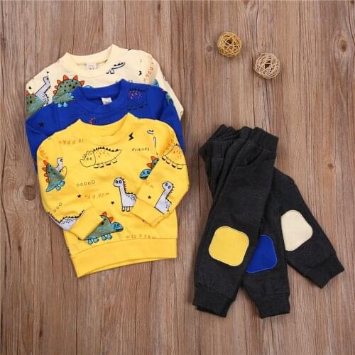 Baby Long Sleeve + Trousers Dinosaur Print Elastic Waist Ribbed Closing Classic Round Neck Spring Clothing
