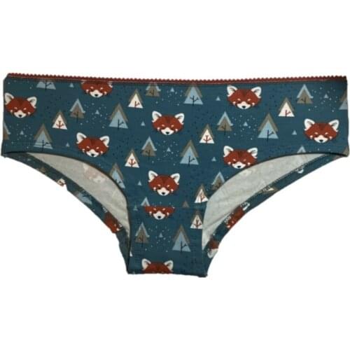 LOOK FOR YOUR WONDERFUL NIGHTS WITH ITS STUNNINGELEGANT UNDERWEAR Womens Hipster Slip FREE SHIPPING