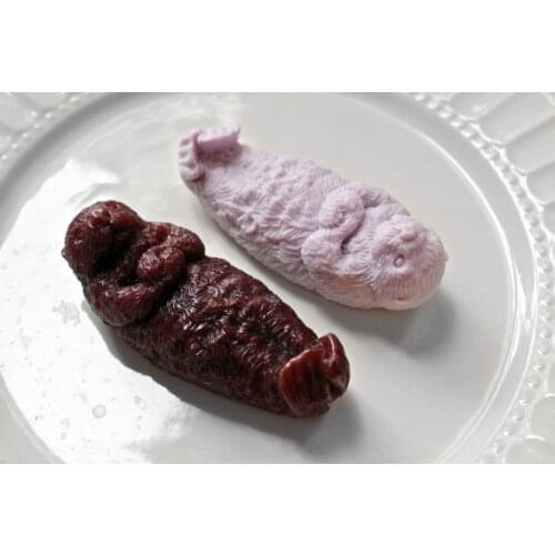 Silicone Mold Shape Animals Handmade DIY Soap Mould Good Molds Otter Soap Cute Silicone Rubber PRZY Eco-friendly 001