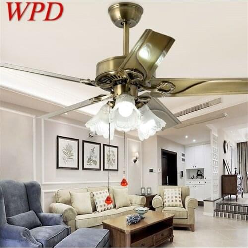 WPD Ceiling Fan Light Modern Simple Lamp With Straight Blade Remote Control For Home Living Room