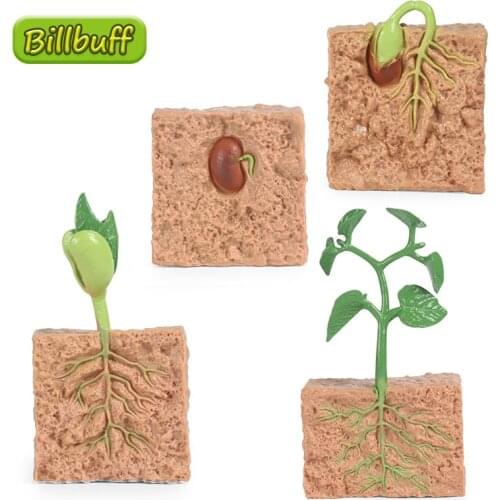 Simulation Animal Plant ABS Octopus Bean Sprouts Action Figures Collection Miniature Cognition Educational Toy for Children Gift