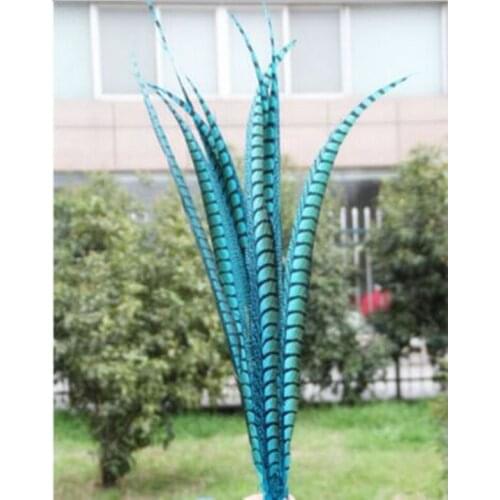 Wholesale 50 pcs sky blue rare golden pheasant tail feather 36-40 inches / 90-100 cm show party decoration
