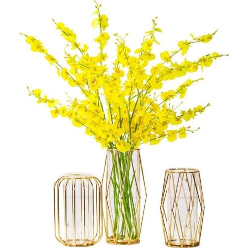 Modern Nordic Golden Iron Art Transparent Glass Vase Living Room Dried Flower Arrangement Decoration Desktop Floral Ornaments