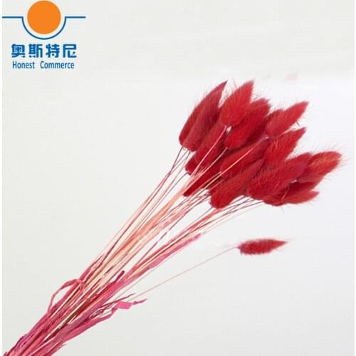 50pcs dried natural flower bouquets red color Lagurus ovatus bouquets&Uraria picta&rabbit tail grass flower bouquets bunches