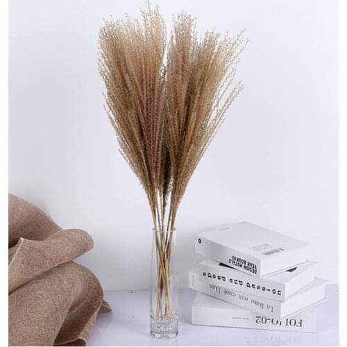 Whisk Dried Flowers 10Pcs/lot Artificial dyeing of natural dried flowers Natural Whisk dried Home Decor Wedding flowers