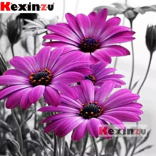 Kexinzu Full 5D DIY fashion Square Diamond Painting -safflower- 3D Embroidery Cross Stitch Rhinestone Mosaic Home Decor K2212