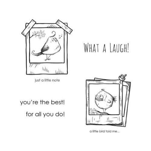 Bird Transparent Clear Silicone Stamp/Seal for DIY scrapbooking/photo album Decorative clear stamp M300