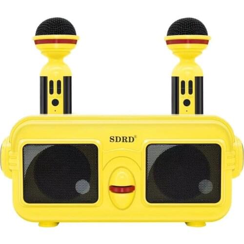 SD-304 Karaoke wireless bluetooth speaker, home SD series subwoofer portable sound column with microphone double diaphragm