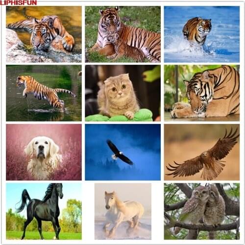 5D Full Drill Diy Diamond Painting Cross Stitch Resin Square/round Diamond Embroidery Decoration animal Eagle horse