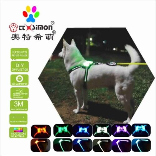 CC Simon Dogled dog harness small Glowing USB Led Collar Puppy Lead Pets Vest 2021