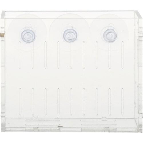 Live Aquairum Plants Grass Crystal Clear Acrylic Cup Holder 10x2.5x8.5cm