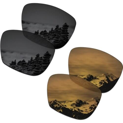 SmartVLT 2 Pairs Polarized Sunglasses Replacement Lenses for Oakley Hold On Stealth Black and Bronze Gold