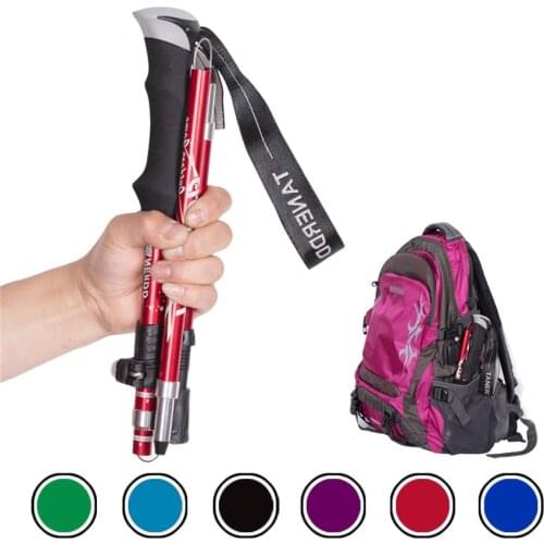 2 Pieces Anti Shock Nordic Walking Sticks Folding Trekking Hiking Poles Trekking Canes Ultralight Outdoor Sports Crutch 1 Pair