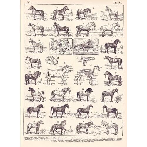 How To Mount A Horse Art Film Print Silk Poster 24x36inch