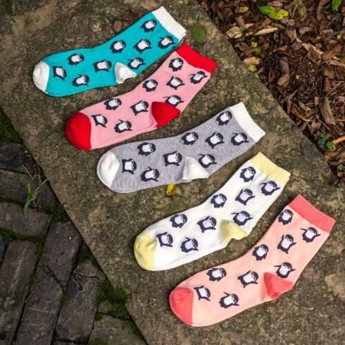 Womens Clothing 2019 Autumn Winter New Ladies Causal Sport Socks Cartoon Pattern Women Fashion Cotton Socks for Christmas
