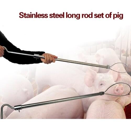 Farm Livestock Full metal Baording pig device Baording fixed animal husbandry equipment, animal husbandry equipmentd9