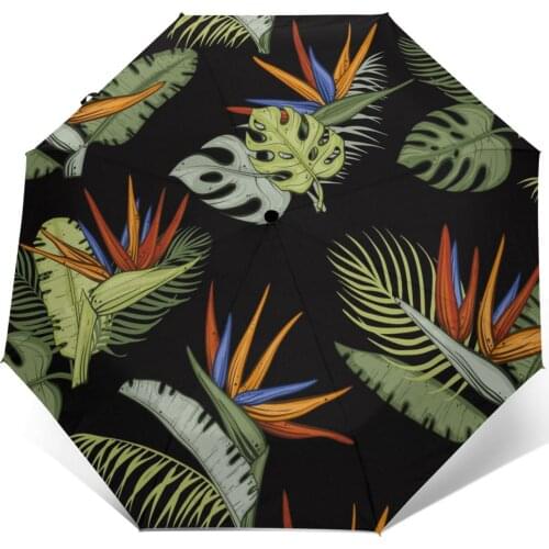 Wind Resistant Folding Automatic Umbrella Women Auto Colorful Tropical Floral Windproof Umbrellas Rain For Men Parasol