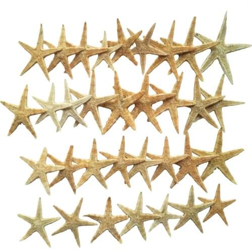 100PcsMINI Natural Sea Starfish DIY Home Wedding Decoration (1~3CM)