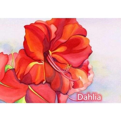 Amaryllis At Dawn Flower Cross Stitch Kits Crafts Top Quality Embroidery Sewing Needlework DIY 14CT Unprinted Decor Handmade