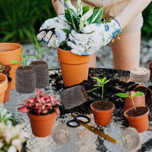 120Pcs Peat Pellet Soil Plant Starters Plugs Pallet Seedling Soil Block Seed Fertilizer Nutrient Block for Flowers 30mm
