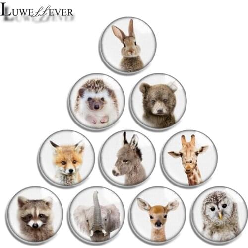 10mm 12mm 16mm 20mm 25mm 30mm 681 Baby Animal Mix Round Glass Cabochon Jewelry Finding 18mm Snap Button Charm Bracelet