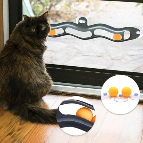 Funny Cat Toys with Track Sucking On the Glass with 2 Inner Balls Interative Toy for Cats Kitten Pet Cat Supplies