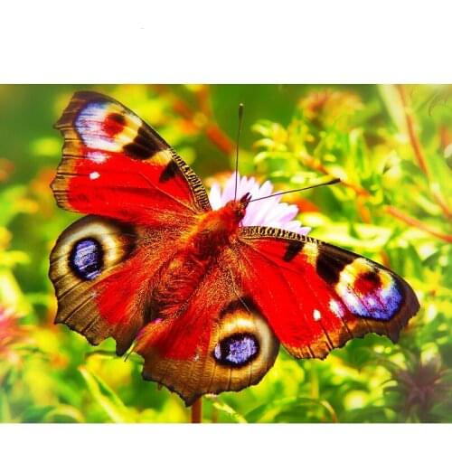 5D DIY Diamond Painting Animals Rhinestones Pictures Diamond Mosaic Full Layout Home Decoration Diamond Embroidery Butterflies