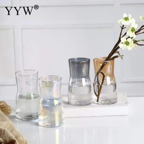 Nordic Glass Vase For Home Decoration Plant Vases Color Flower Pot Transparent Vase Tabletop Plants Home Bonsai Decor Vases