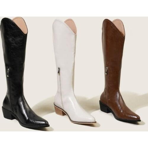 Autumn and Winter New Style Side Zipper Knight Boots Pointed Toe Thick Heel Western Cowboy Boots Women